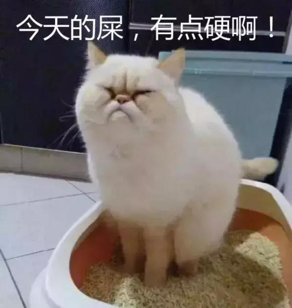痔疮是人类直立行走的代价吗？如何避免成为有“痔”之士？