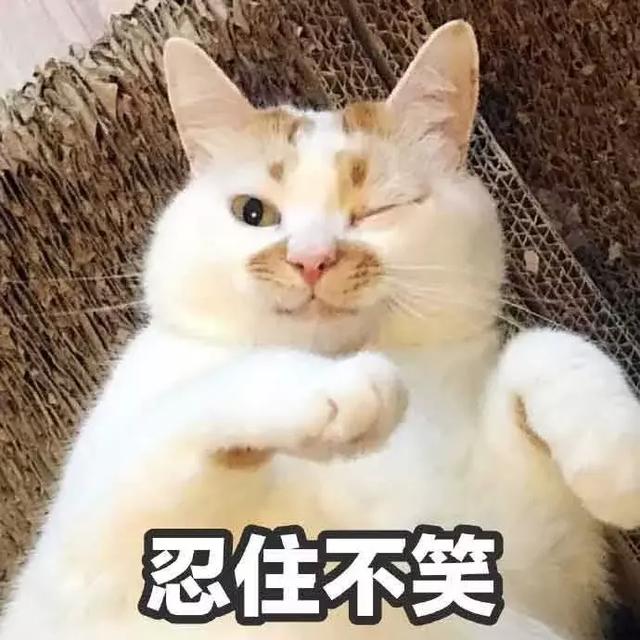 痔疮是人类直立行走的代价吗？如何避免成为有“痔”之士？
