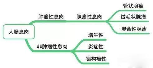 科3.jpg