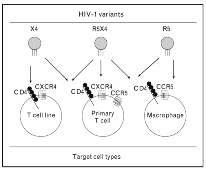 这些关于hiv感染实验室检测的迷思,你需要知道
