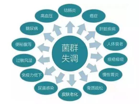 什么是肠道菌群失调症