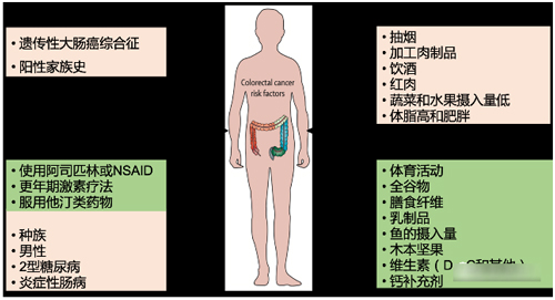 肛3.jpg